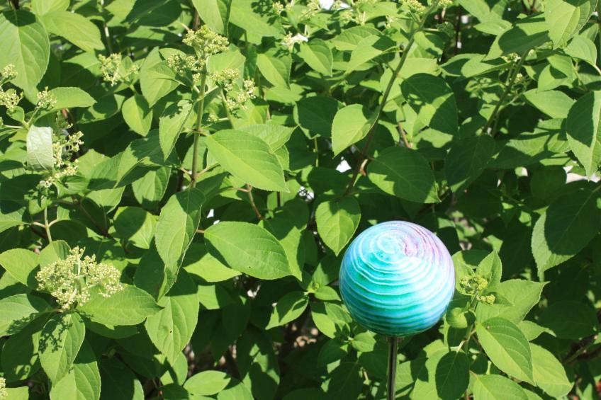 Wohlfühloase für Natur- und Gartenliebhaber - foto 36