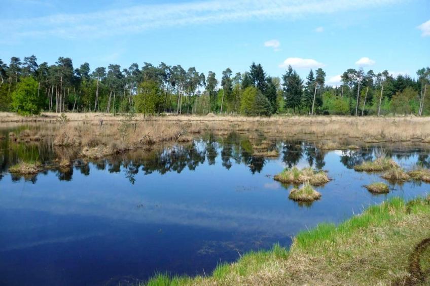 Beach Lodges - foto 5