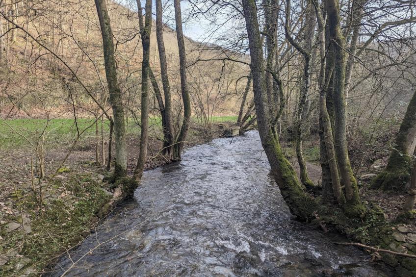 Double Room with Balcony - foto 21