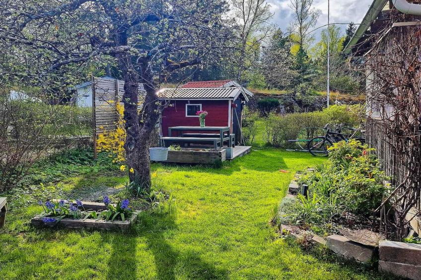 BF-CNMD8 - foto 4