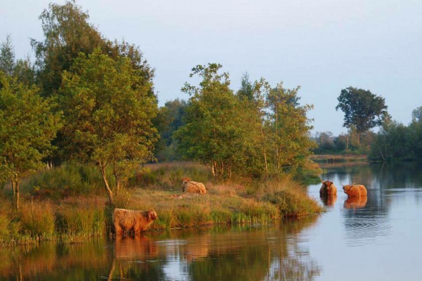 Luxe loft  2 persoons - foto 30