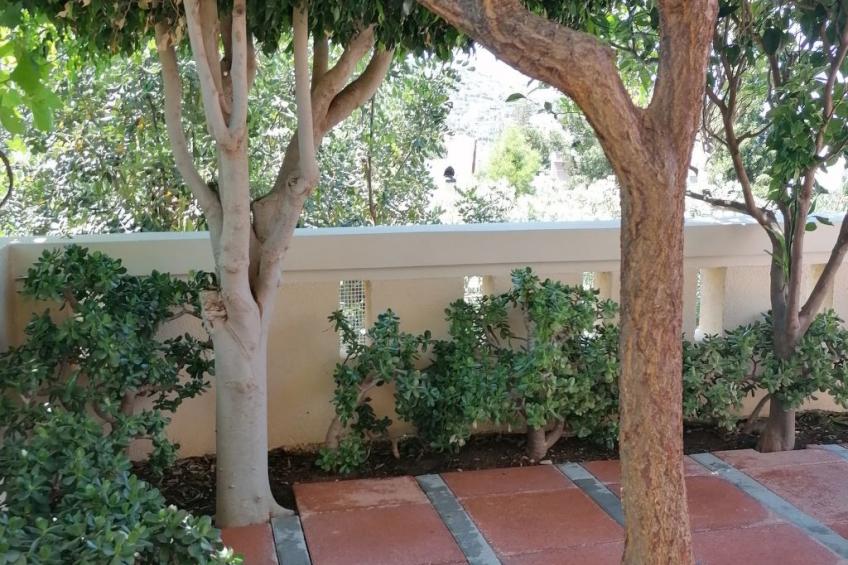 Wohnung "Terrasse am Pool" - foto 11