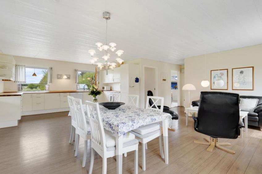 "Mikkeline" - 400m to the inlet in The Liim Fiord - foto 17