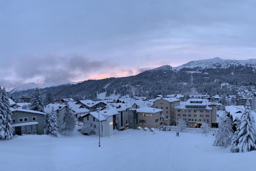 Studio Bossihang - foto 13