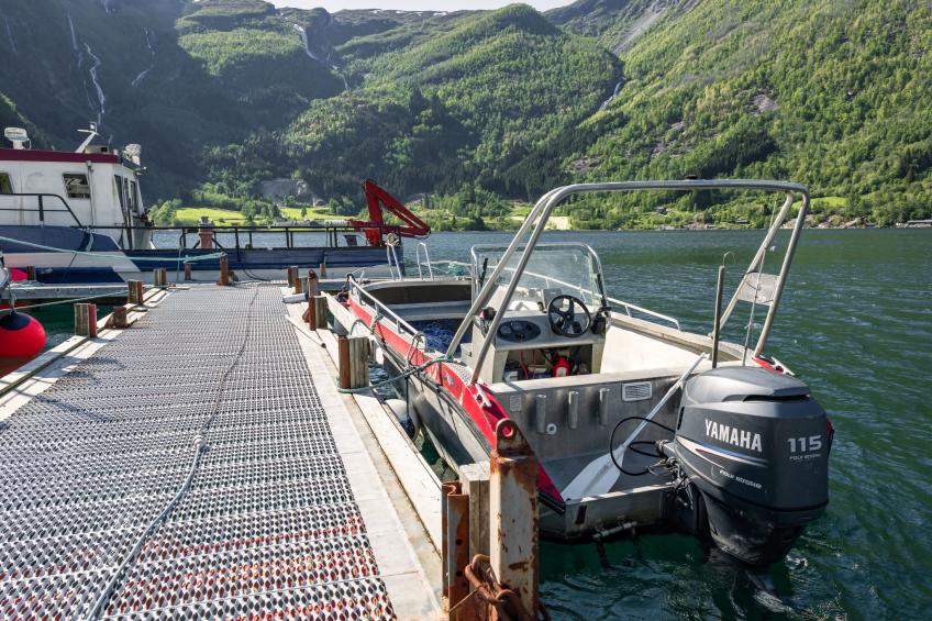 Indresfjord (FJS615) - foto 38