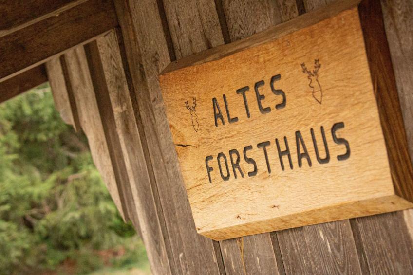 Appartement in Eggeröder Brunnen mit Grill, Garten und Terrasse - foto 2