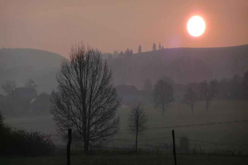 Wilzenberg - foto 36