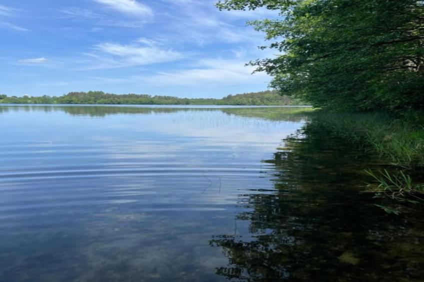 House in the kashubian village - foto 36