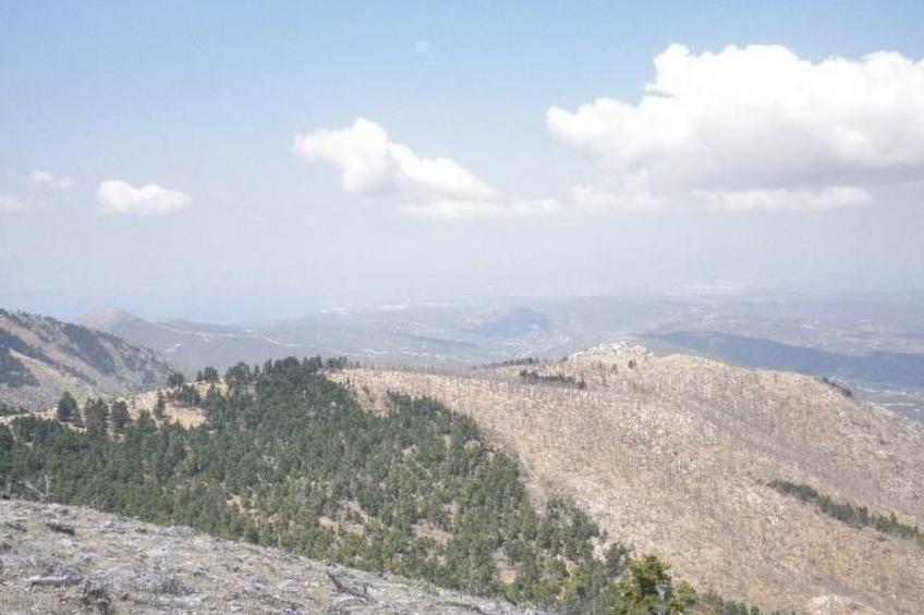 Studio mit Garten - foto 47