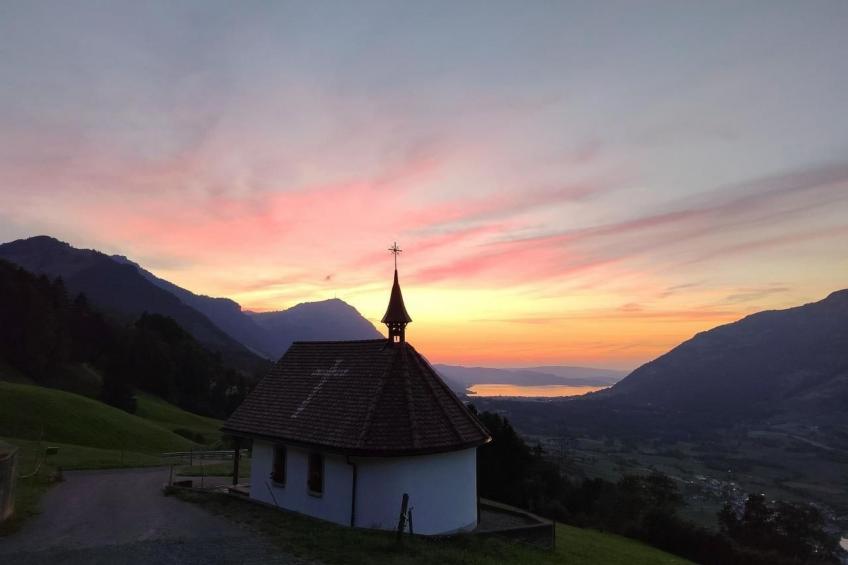 Biohof Langberg - foto 26