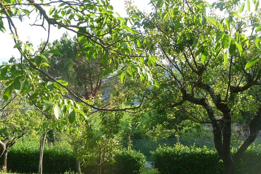 Lindenhaussiedlung mit Gemeinschaftspool - foto 33