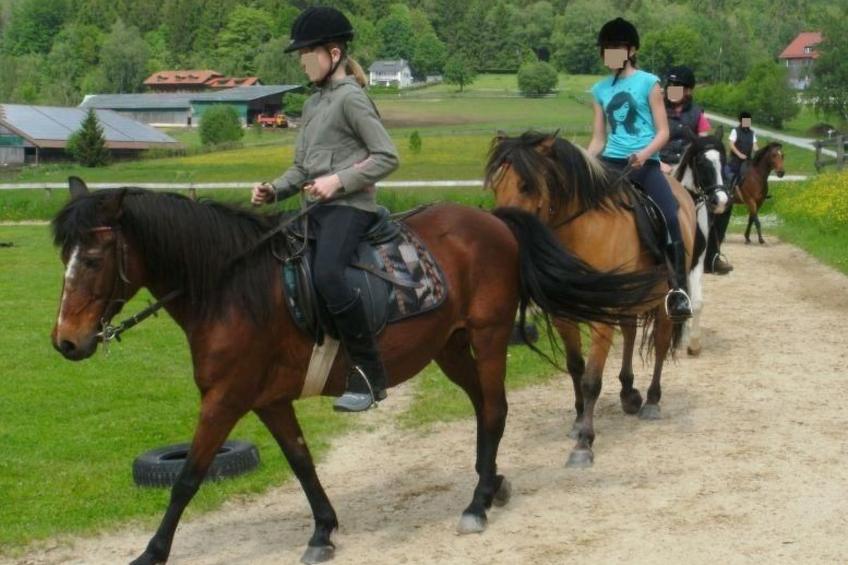 für 4 Personen im Bayerischen Wald - foto 12