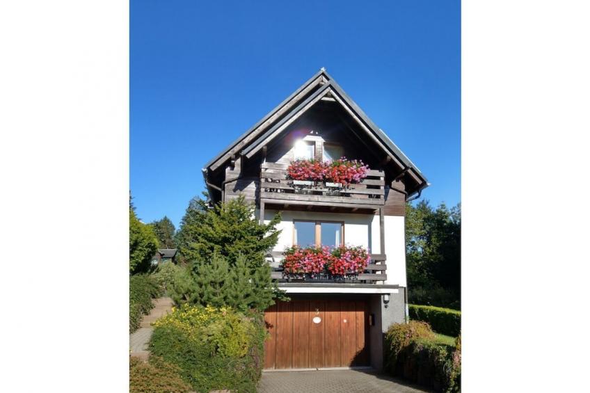 56884 - foto 2