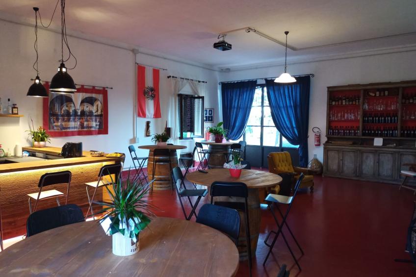 Flache Kornblume - foto 34