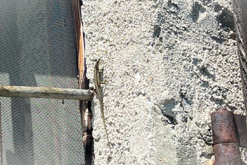 Rustico Eremo Rico - foto 15