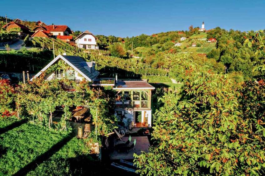 Vakantiewoning met een prachtig uitzicht op Gorjanci - VW-NBRK