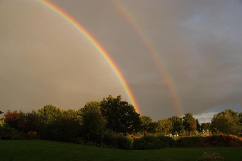 Chalet Vrijzicht - foto 39