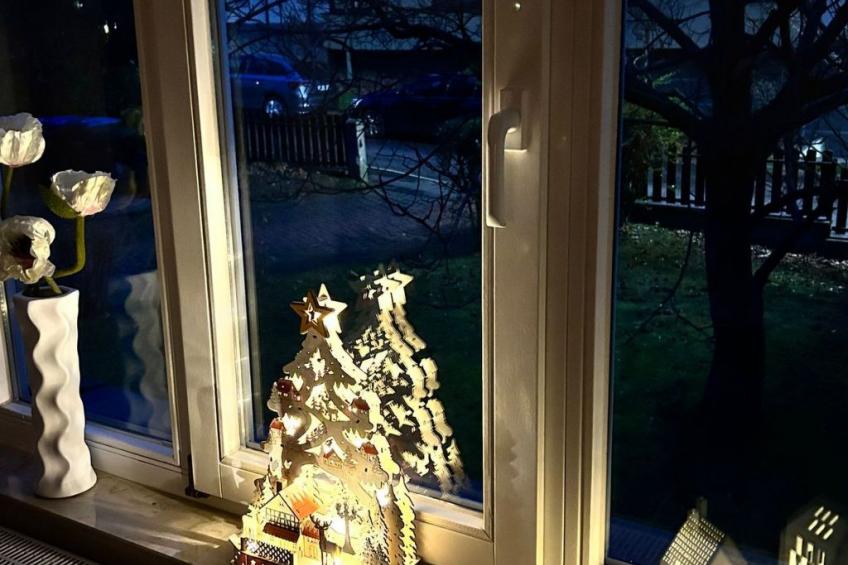 Fewo Fröhlich - foto 24