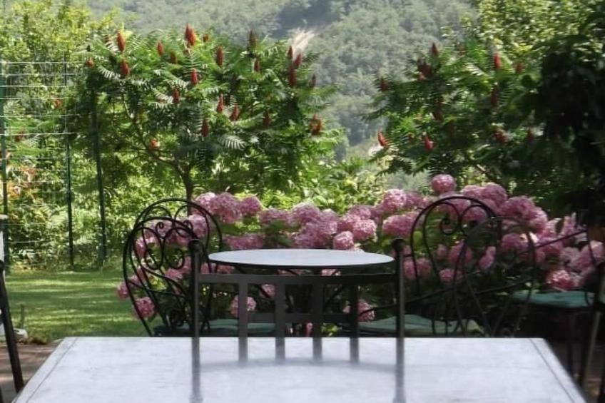 Das Olivenhaus - foto 6