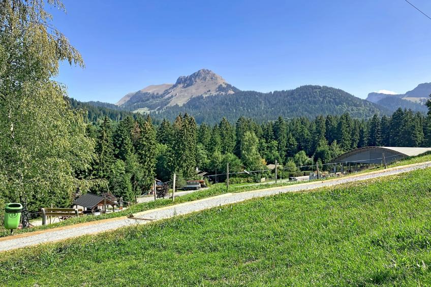 Chalet Chaudoudoux - Les Paccots - foto 21