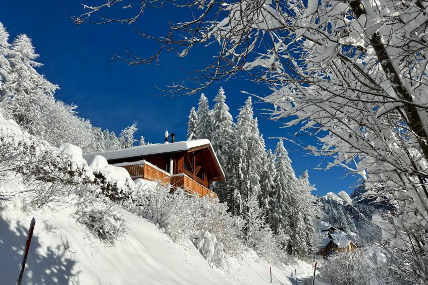 Chalet les Pars - foto 4
