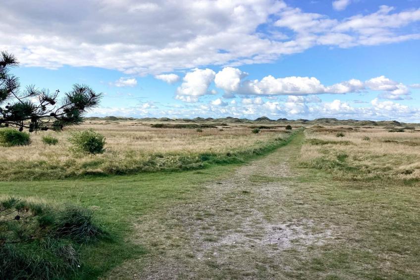 Skovhytte 4 personer - foto 18