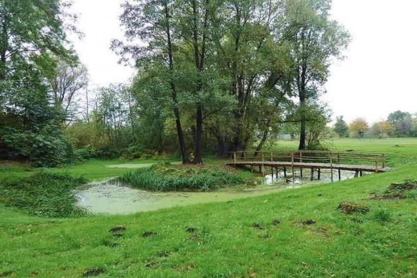 in Ludorf mit Garten und Terrasse - foto 14