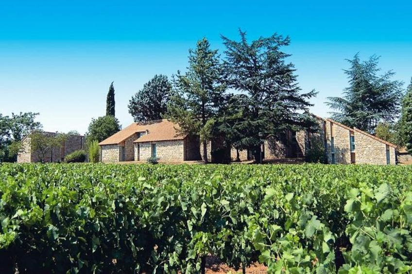 Terres de France - Domaine des Vans - foto 2