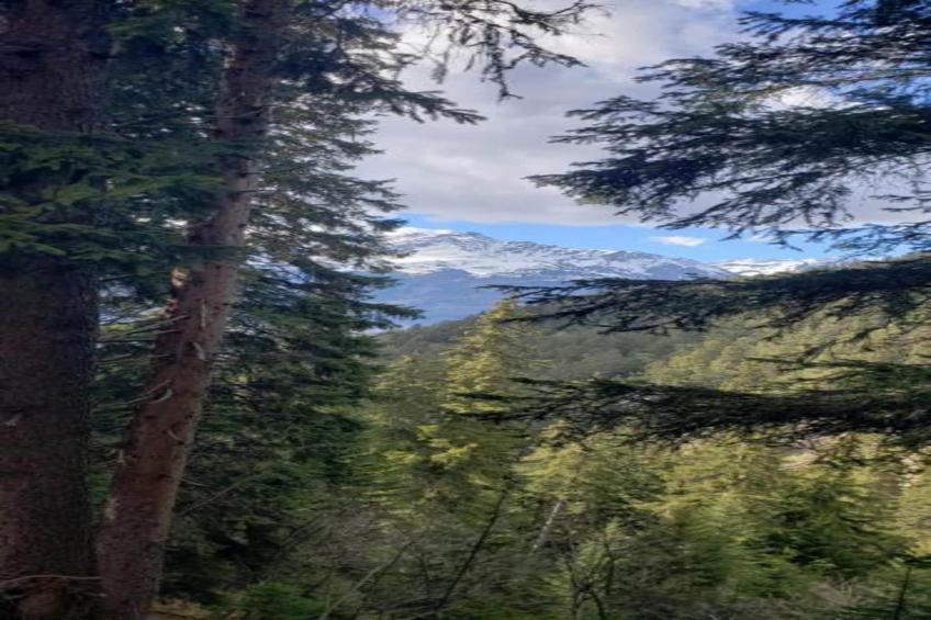 La Turra N°410 - 3P6 - foto 16