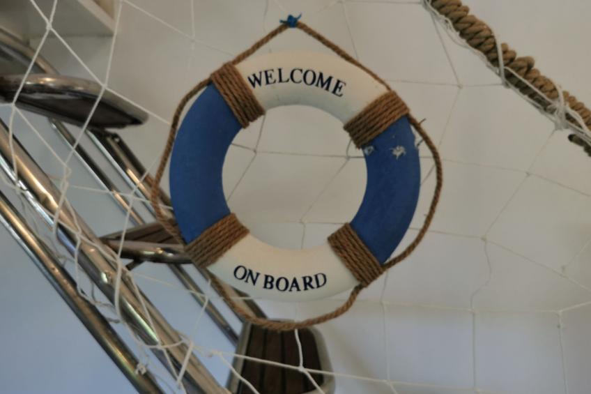 Schönes Apartment mit Whirlpool, Grill und Garten - foto 21