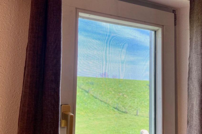 155 Joke am Deich - foto 15