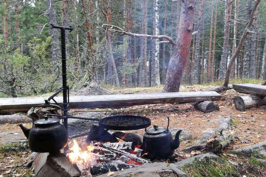 Rääkkylä, villa raita - foto 59