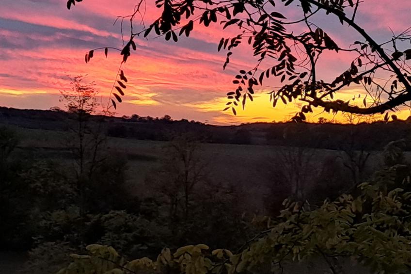 Der Pavillon - im Park des Schlosses Lescaut - foto 38