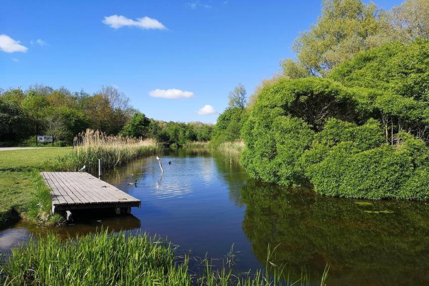 Jomfru Ane Standard Double - foto 31