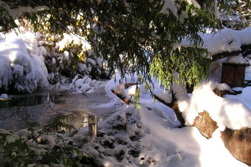 Entspannen im Ferienhüsli 1. OG - foto 2