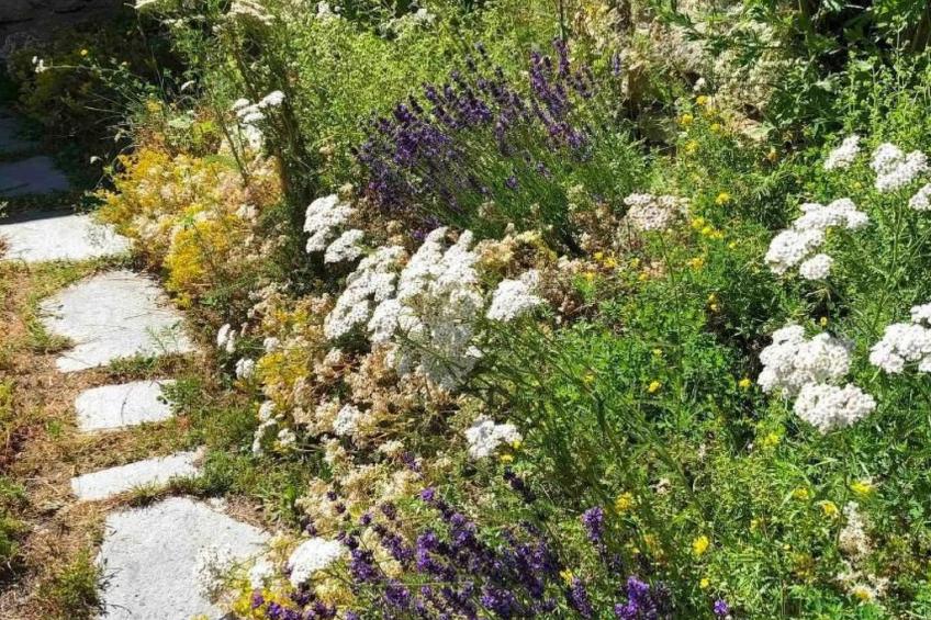 Spycher Niederwald - foto 30