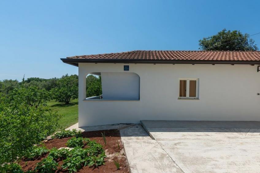 399491 - foto 4