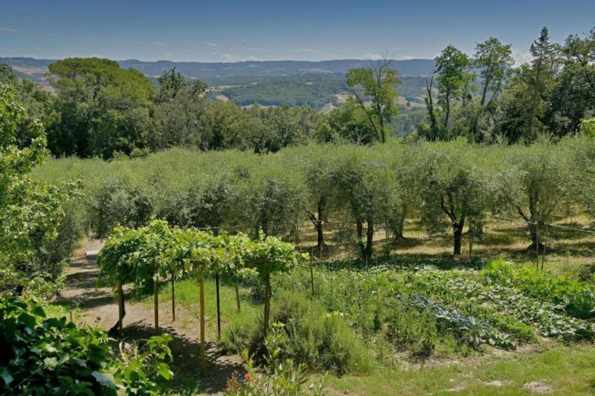 Villa Celli - foto 34