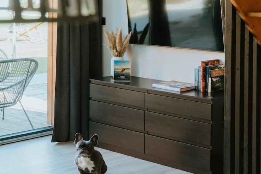 Domy wakacyjne i apartamenty w Niechorzu - foto 2