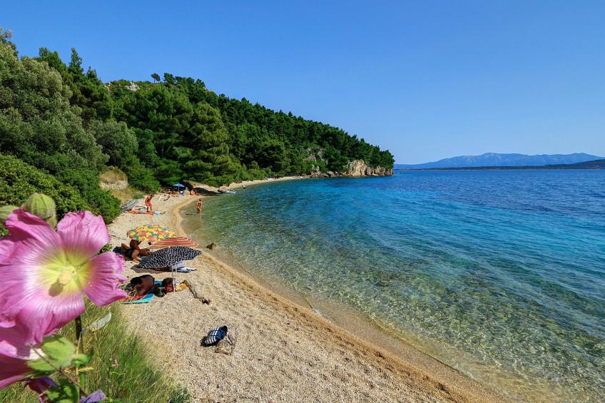 Ruhige Ferienwohnung mit Meerblick - foto 29