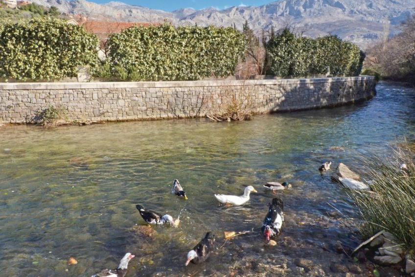Žrnovnica, Entspannung am Flussufer - foto 21