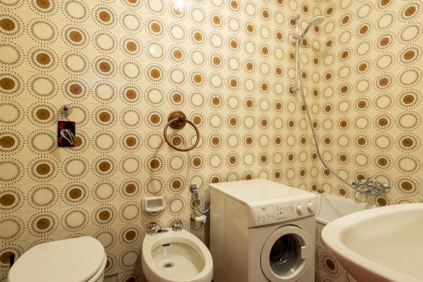 Pino Bianco - foto 16