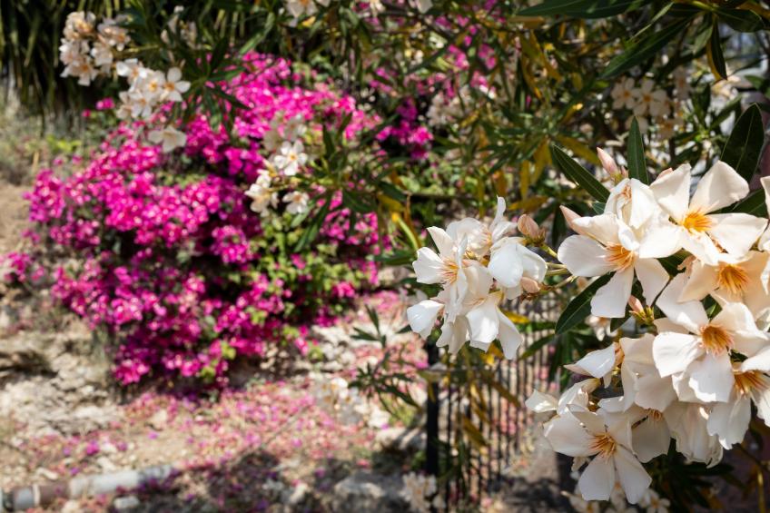 Casa Bellini 1 - foto 31