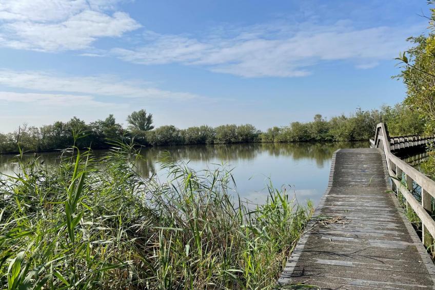 Vakantiehuis Ultiem Genieten - 80 - foto 29