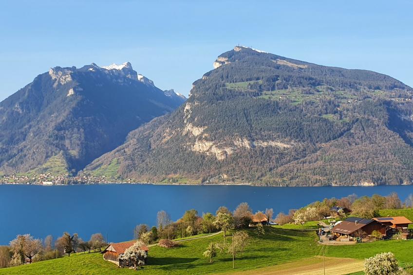 Panoramaferienwohnung Waldkircher