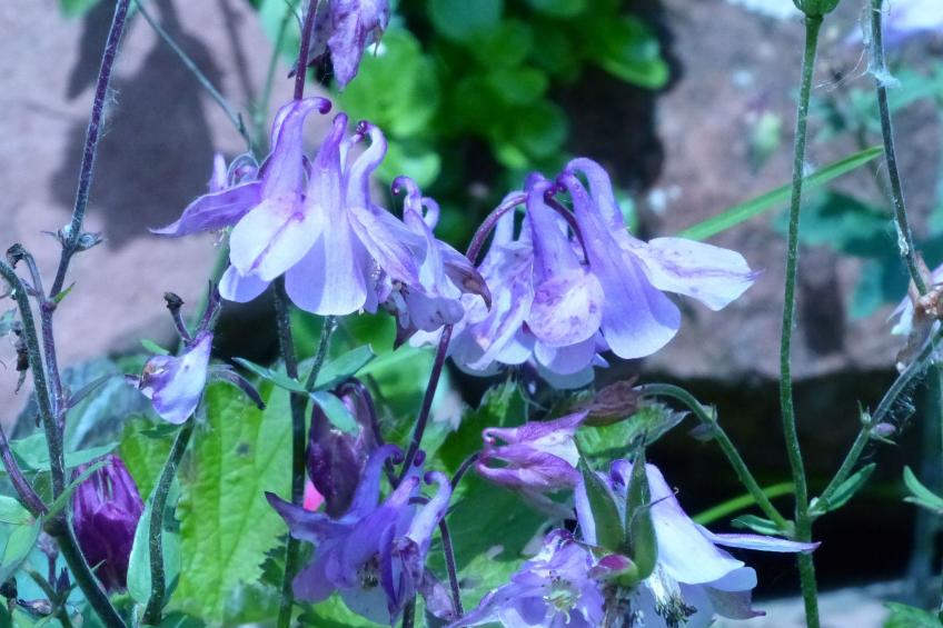 ApartmentmitAusblick - foto 25