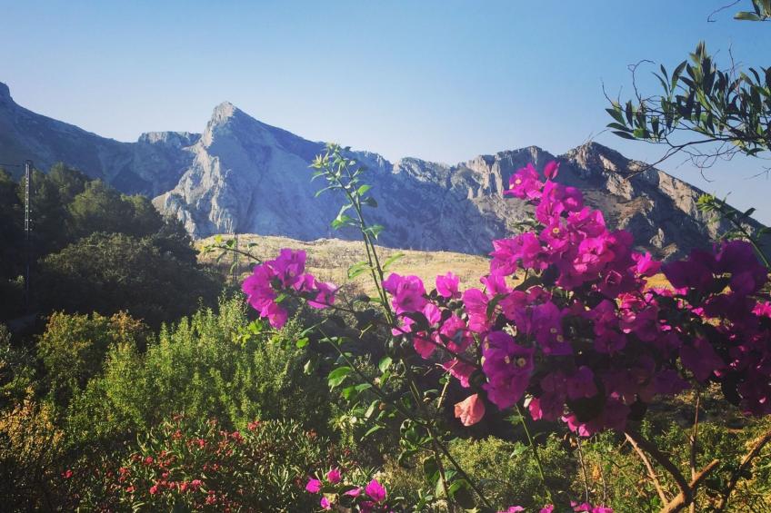 Leerstehendes Haus "Can Elisa" - foto 21