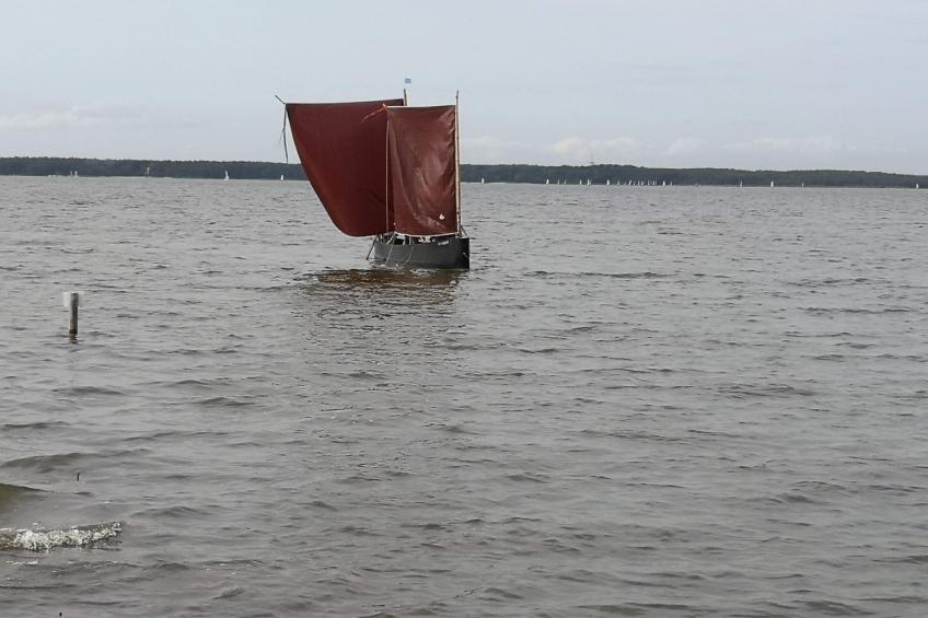 für 4 Personen ca. 165 m² in Mardorf, Niedersachsen (Steinhuder Meer) - foto 22