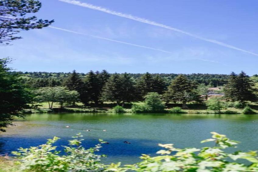 Schwarzwaldhaus Pferdeklause - foto 31