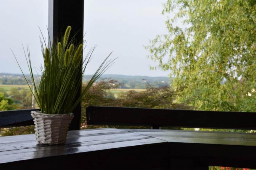 Zevnik Quiet Retreat with Stunning Views and Equestrian Activities - One Bedroom Apartment - foto 21